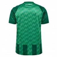 Werder Bremen Herren Heimtrikot 24-25