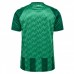 Werder Bremen Herren Heimtrikot 24-25