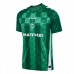 Werder Bremen Herren Heimtrikot 24-25